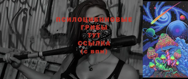 крисы Липки